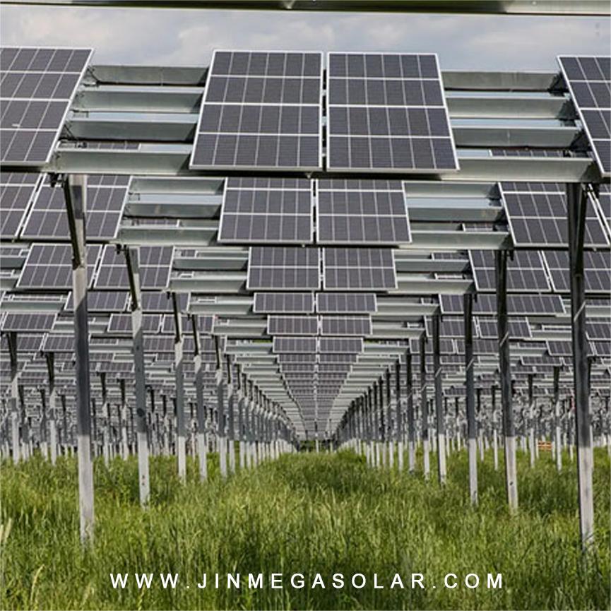 Product Spotlight | JinMega Agricultural Farmland Solar Mounting System I