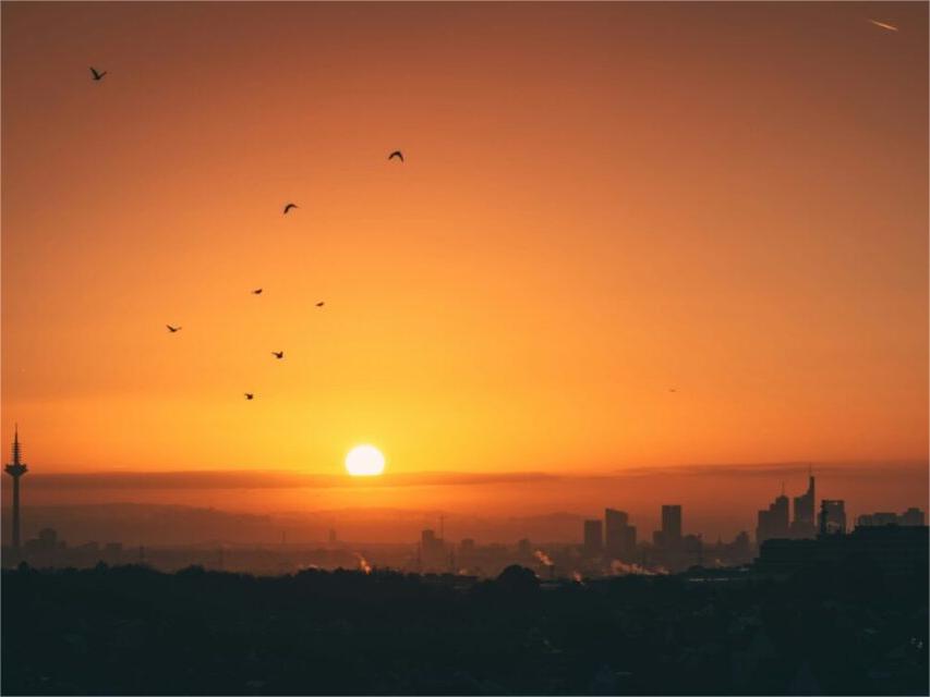 Germany Adds 7.1 GW of New Solar Capacity in H1 2025